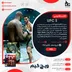 اکانت قانونی UFC 5 برای PS5
